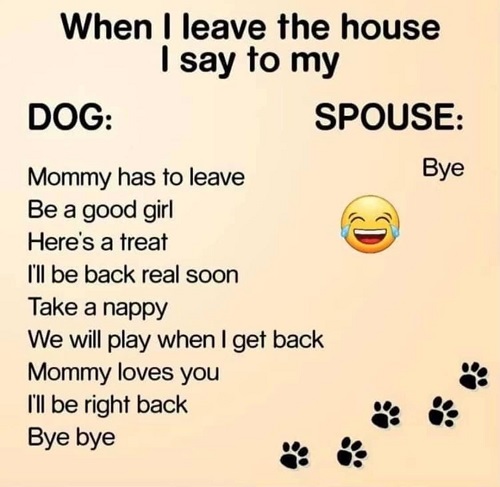 saying bye to dog.jpg